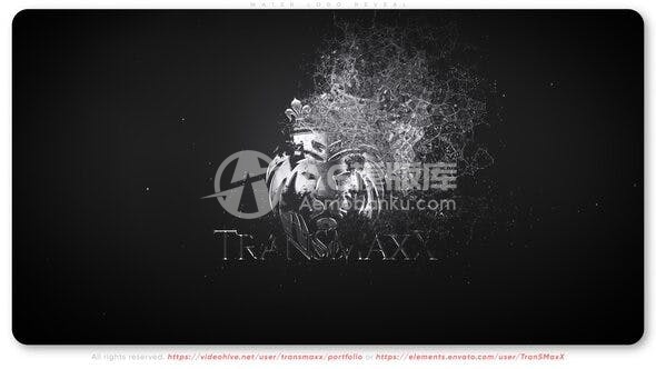 29372水徽标揭示