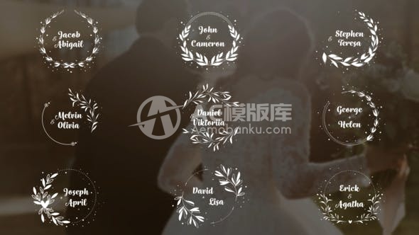 2938030个优雅的婚礼标题 AE模版