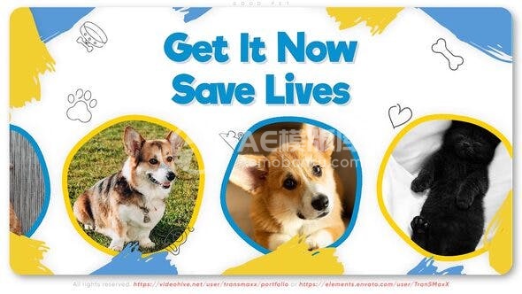 29553好宠物 AE模版