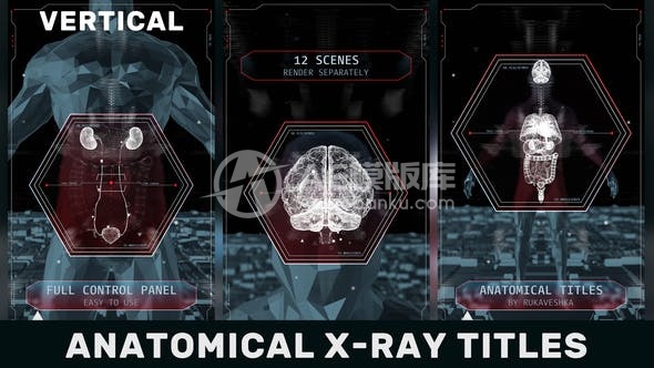 29568解剖X射线标题 垂直排列 AE模版