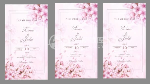 29593婚礼Instagram故事 AE模版