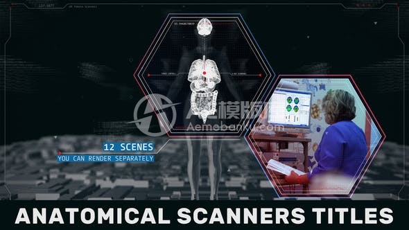 29695解剖扫描标题 AE模版