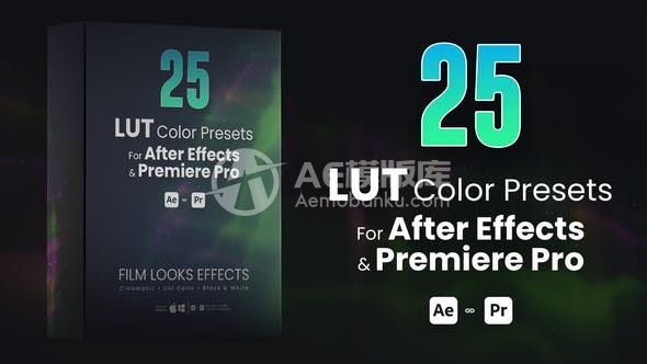 2969625个适用于After Effects和Premiere Pro的LUTs色彩预设包