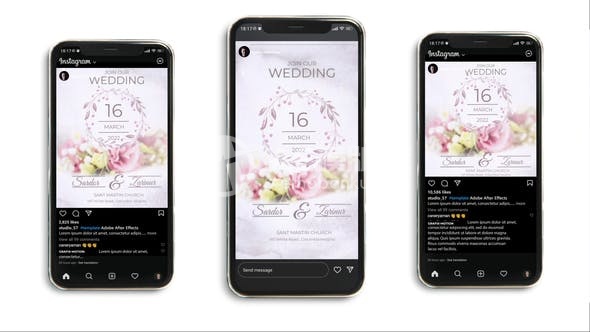 29725婚礼邀请IG模板（三合一）AE模版