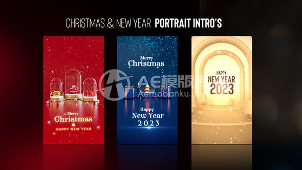 29806圣诞与新年肖像介绍 AE模板