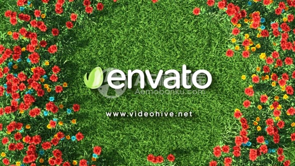 29857花朵倒计时标志揭示 AE模版