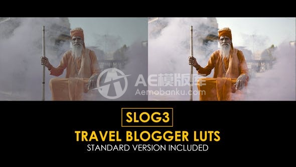 29961Slog3旅行博主和标准LUTs AE模版