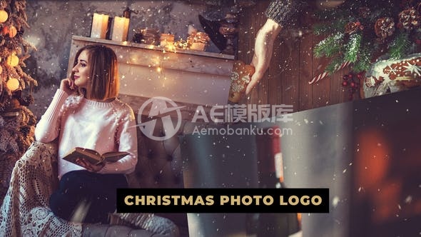 30245圣诞节照片标志装饰 AE模板