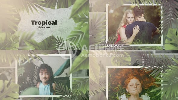 30325热带幻灯片展示(AE模版)