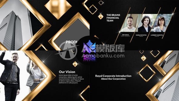 30351皇家企业展示 AE模板