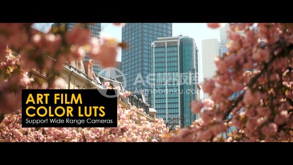 30372艺术电影LUTs（调色预设）AE模版