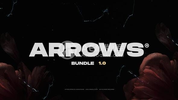 30449箭头运动效果AE模版