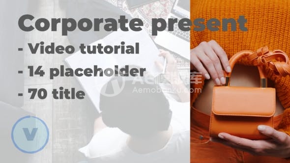 30486网络展示企业 | 网页网站 AE模版