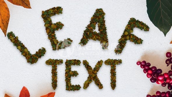 30517动态秋叶文字字体 AE模版