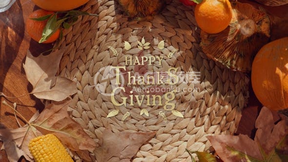 30519感恩节开场动画 AE模版
