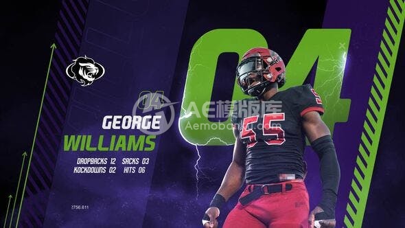 30564体育团队介绍V4 AE模版