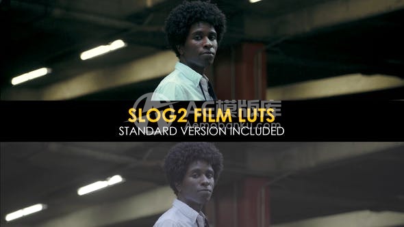 30653电影Slog2和标准Luts AE模版