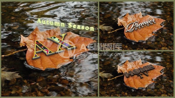 30678秋日黄叶和标志AE模版