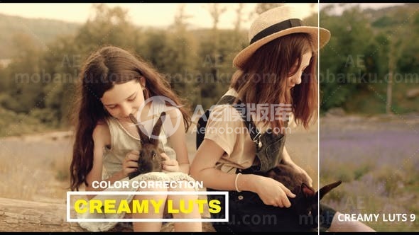 31101LUTs顺滑<Color Lookup Tables for a Creamy Look AE模版