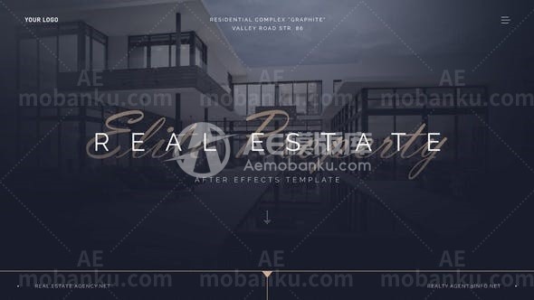 31162房地产精英物业II AE模版