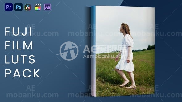 31183富士胶片LUTs包(AE模版)